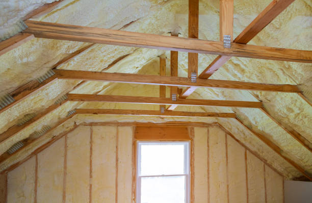 Best Crawl Space Insulation  in Southmont, NC