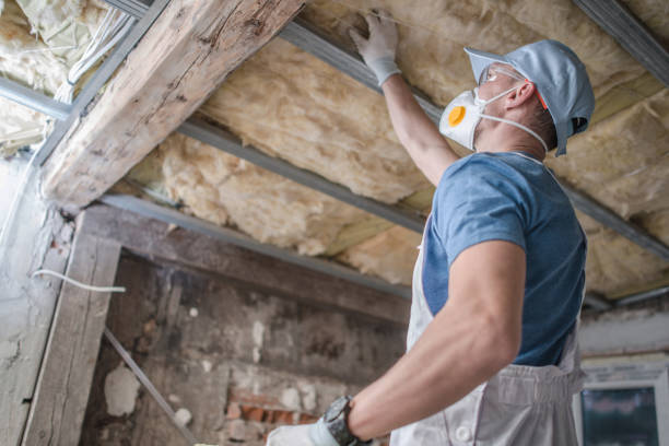 Best Cellulose Insulation  in Southmont, NC