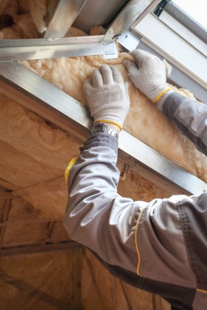 Best Wall Insulation Contractor  in Southmont, NC