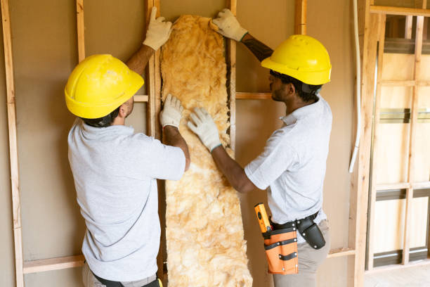Best Commercial Insulation Contractor  in Southmont, NC