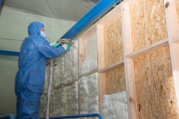 Insulation Replacement Services in Southmont, NC