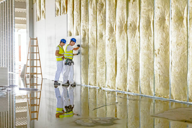 Best Best Insulation Companies  in Southmont, NC